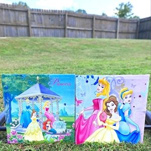 2 Disney Canvases 🌸 1 Princess-Nature And 🦋 1 Princess Butterfly